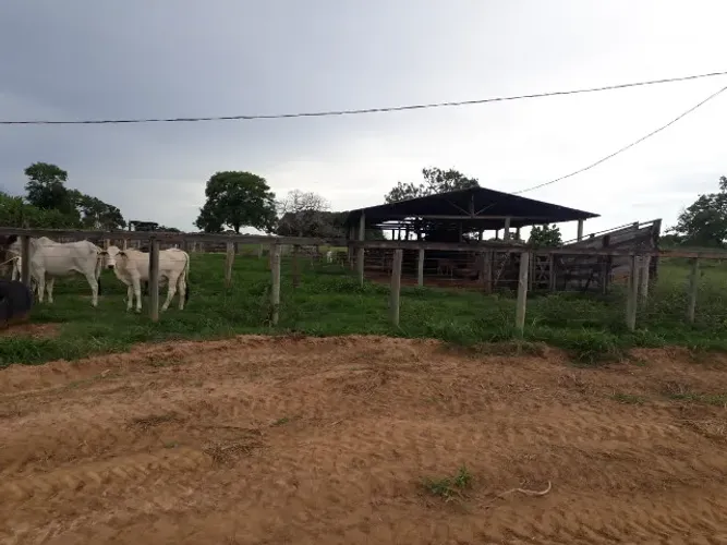 Corinto/MG- Fazenda de 576,50 HA - R$14.500.000,00
