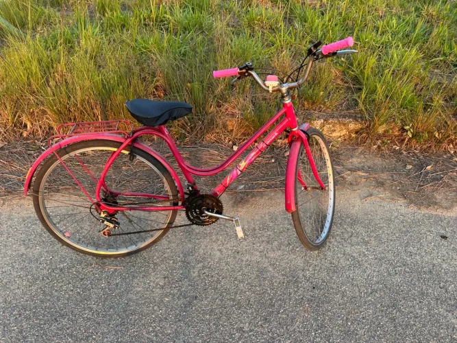 Bicicleta Ceci 26
