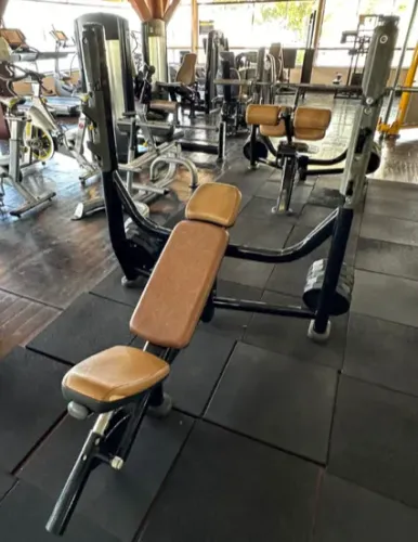 Supino reto e supino inclinado - Life fitness - musculação