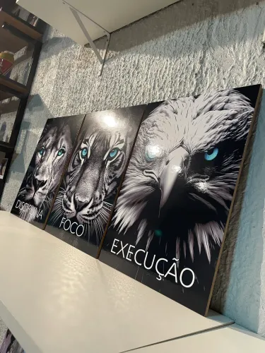 Trio quadros Foco Disciplina Execução 