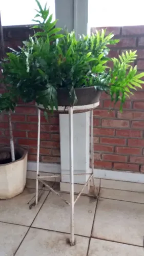 Suporte para Plantas em Ferro