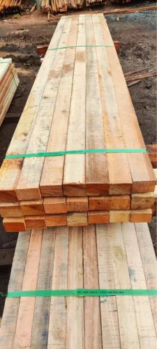 Ripao caibrinho 5x3 eucalipto tratado serrado 