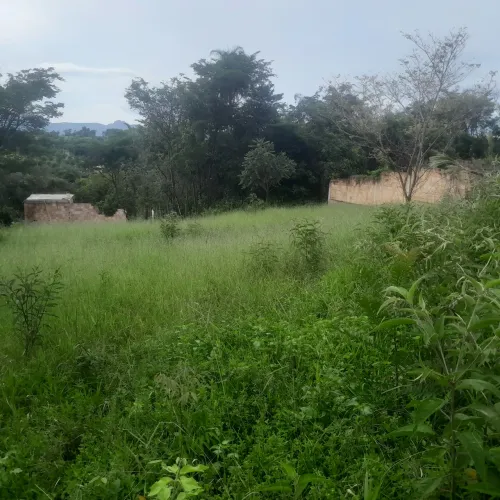 Lote para construir sua casa dos sonhos!