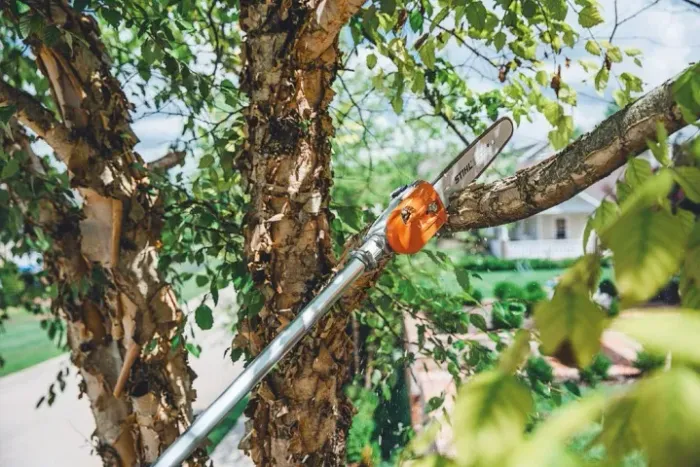 MOTOPODA STIHL HT 135 - A GASOLINA