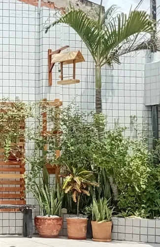 Comedores e Bebedouro Pássaros 