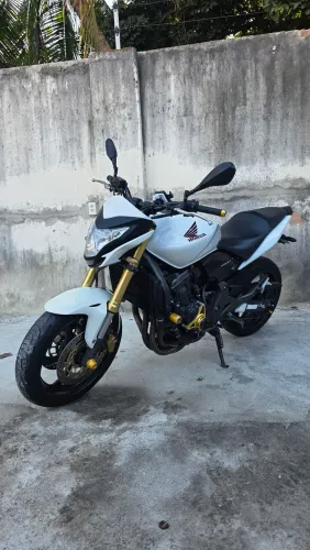 Hornet 2013