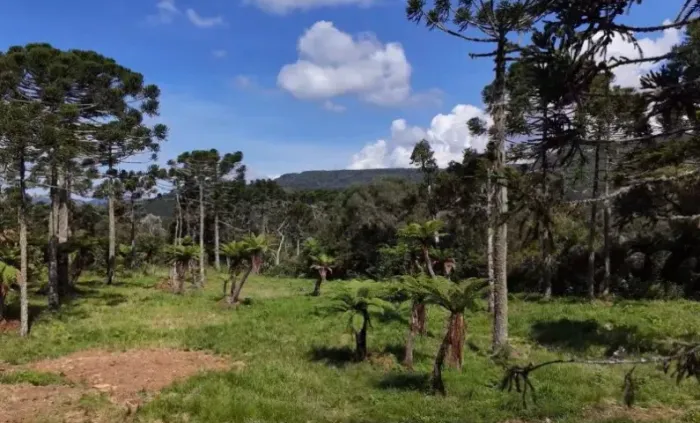 Chácaras de dois hectares em Urubici/SC região que neva no Inverno