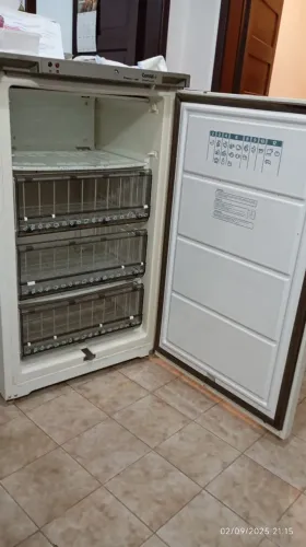 Vendo freezer