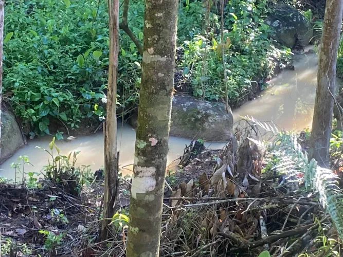 Chácara em santo Amaro pagará grande