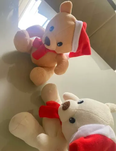 URSO PELÚCIA NOVOS / OS PARES
