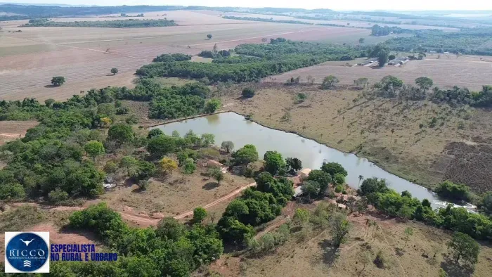 Fazenda à Venda em Orizona GO | 34 Alqueires | Área Produtiva com Soja