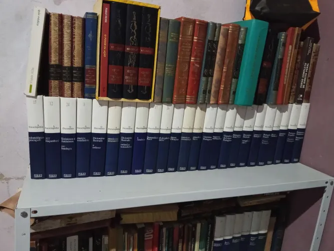 Livros, Enciclopédias quantidade 20
