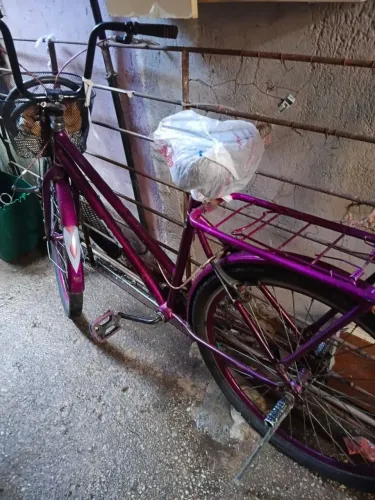 Bicicleta roxa