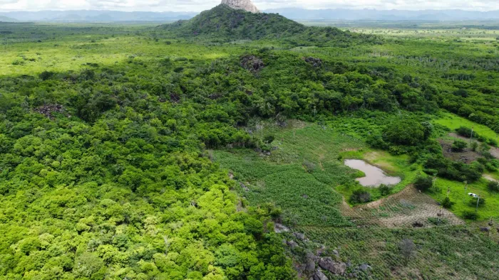 Terreno 10 hectares - Aracoiaba/CE - Escritura pública 