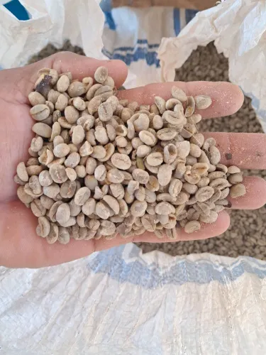 café a venda