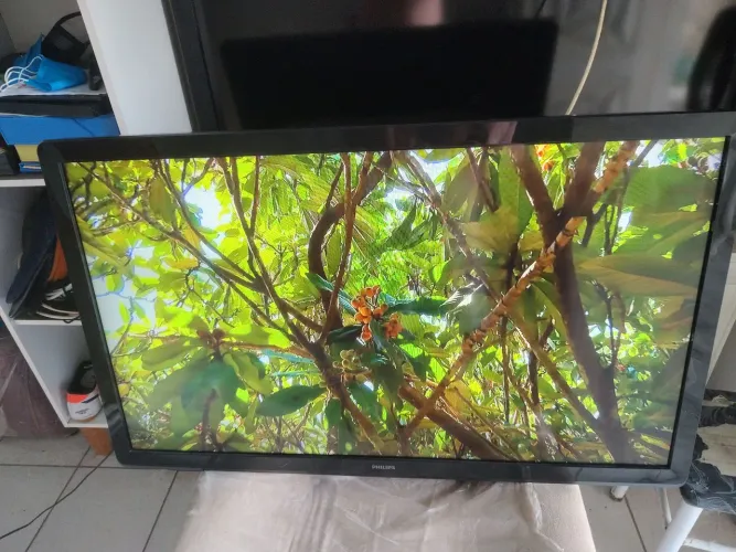 Tv 42 funcionando perfeitamen,não e smart te