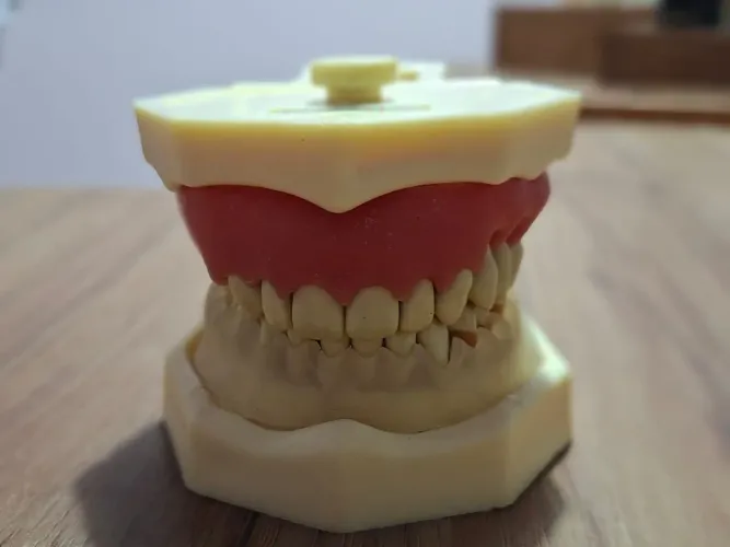 Vendo Manequim de Periodontia