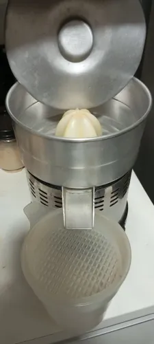 Espremedor de laranja profissional 