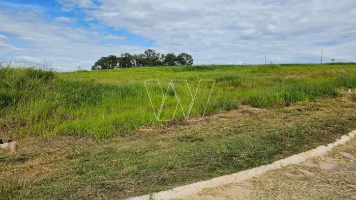 terreno - Jardim Conceição (Sousas) - Campinas