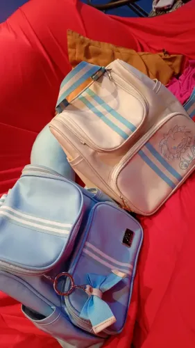 Bolsa maternidade