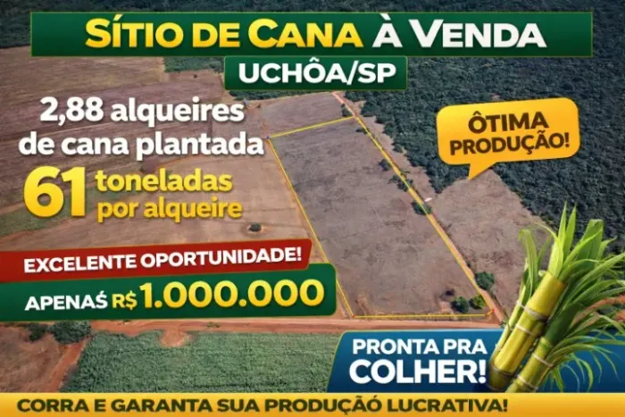 VENDE- SE SÍTIO COM 2,88 ALQUEIRES, EXCELENTE PARA RENDA E PRODUÇÃO!