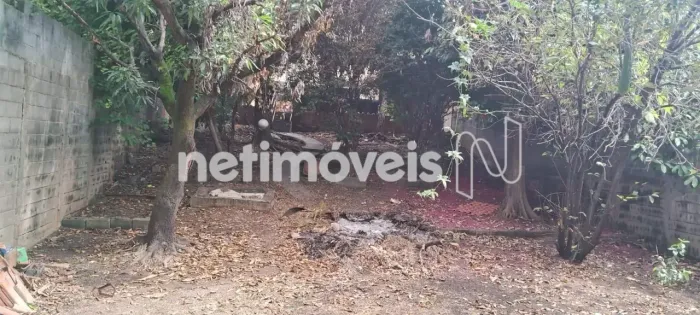 Venda Lote-Área-Terreno Conjunto Minascaixa Belo Horizonte
