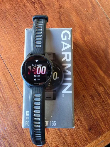 Garmin 165