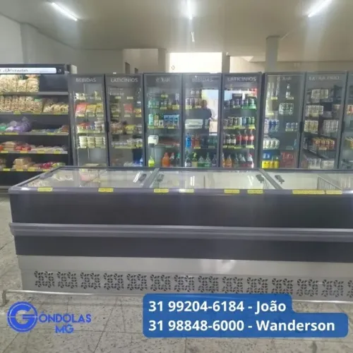 Ilha de frios e congelados