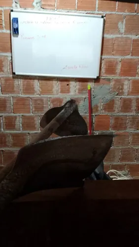 Quem tiver precisando de ajudante pra diária estou disponível minha diária é 120