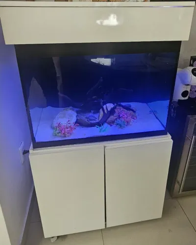 Aquário + SUMP + Armário 