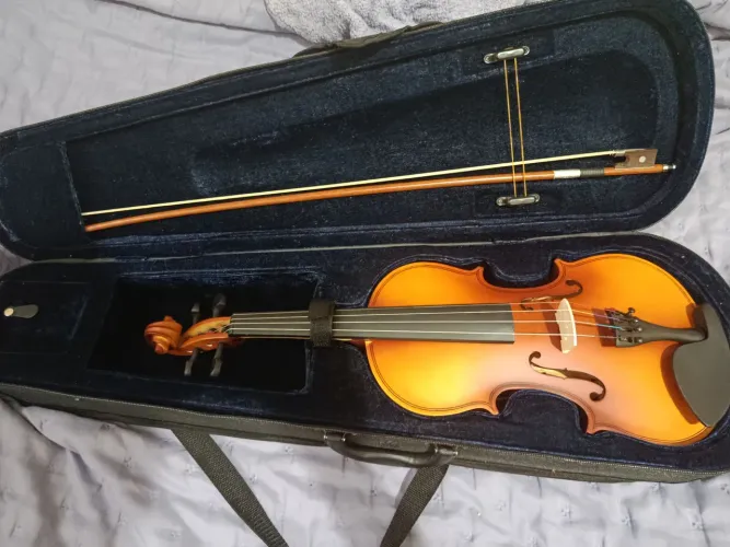 Vende-se violino, usado apenas uma vez