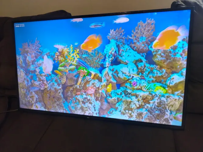 Smart 55 polegadas 4k da TCL sem detalhes como nova