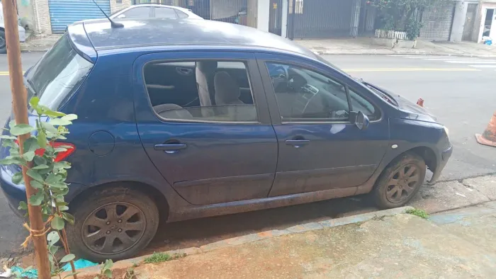 Peugeot 307 Feline 2.0/2.0 Flex 16V 5P Mec. 2006