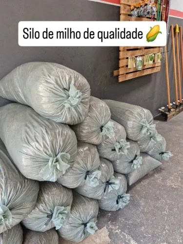 Silo de milho de qualidades 