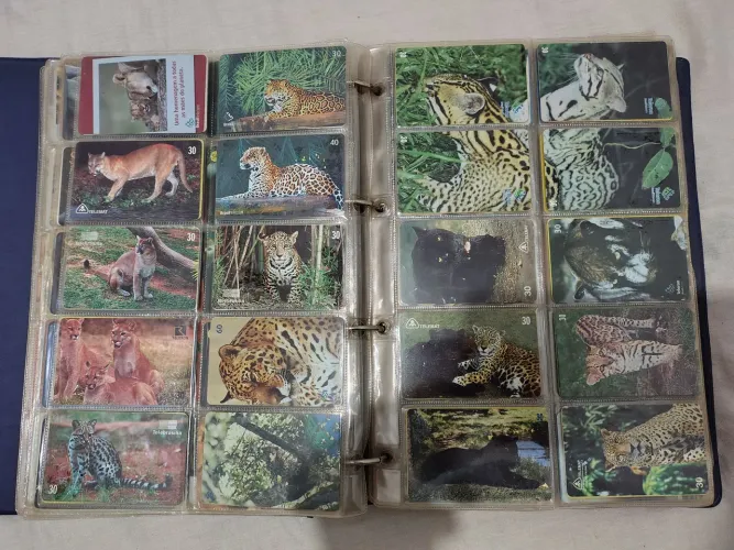 Cartões Telefônicos coleção