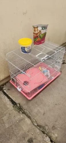 Casinha  Para Hamister 