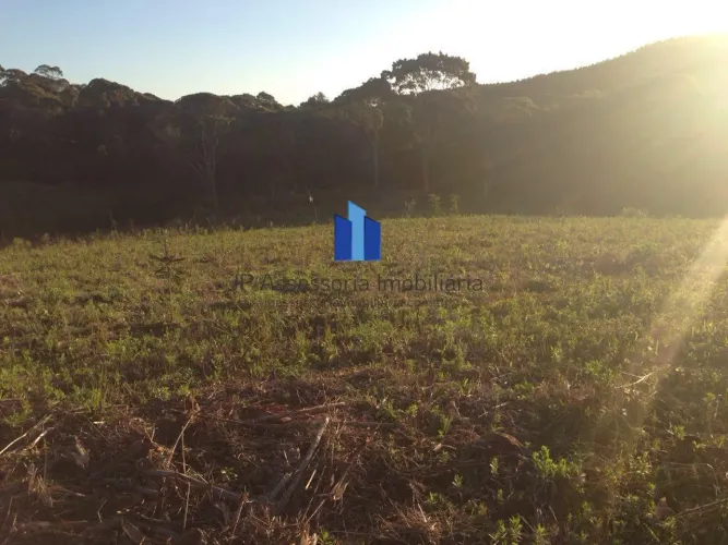 Área para Venda em Mandirituba, Chimboveiro