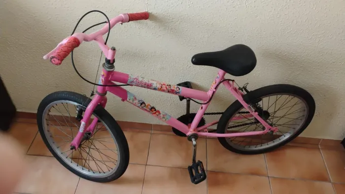 Bicicleta Infantil das Princesas - Entrego