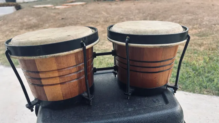 Bongô