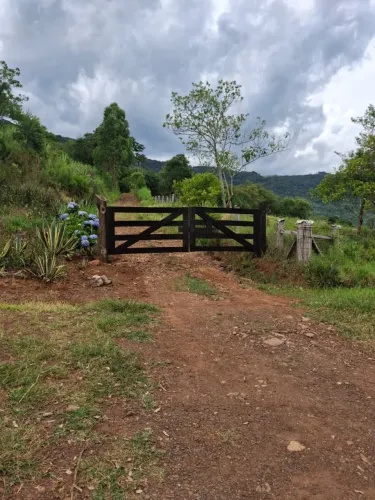 SÍTIO À VENDA EM NOVA HARTZ - RS Entrada R$ 24.900 + 35 X de R$ 999,00