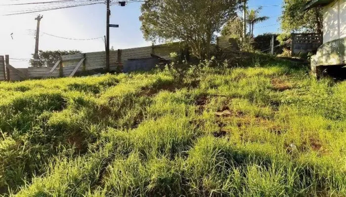 Terreno Residencial / Pilarzinho
