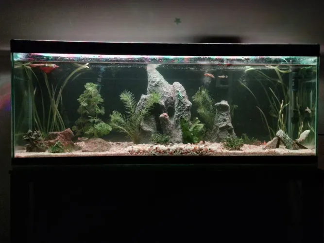 Aquario completo com movel