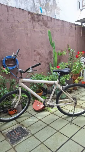 Bicicleta passeio praia