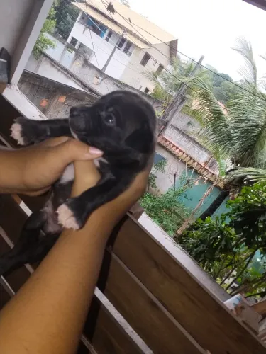 DOAÇÃO!!!