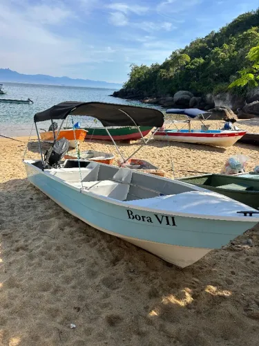 Lancha Dumar Mercury 50hp