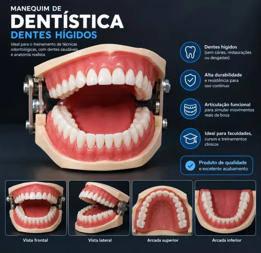 Manequim de Dentistica com caixa, ferramentas e dentes reserva.