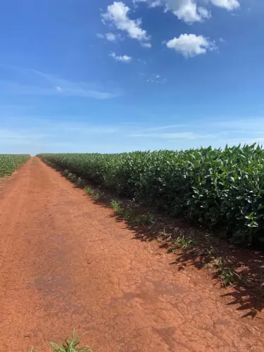 Fazenda extra a venda no Goiás!!