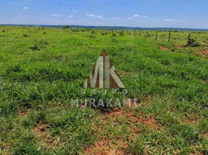 FAZENDA - SANTA RITA DO PARDO - MS