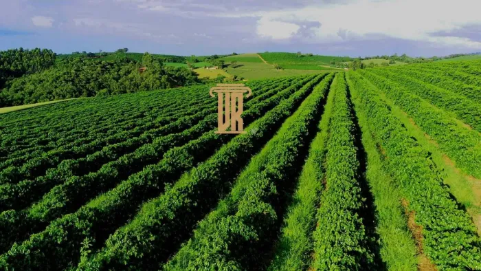 FAZENDA DE CAFÉ DE ALTO PADRÃO EM MACHADO- MG