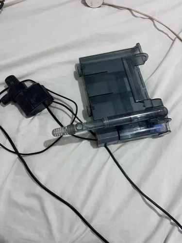Aquário 